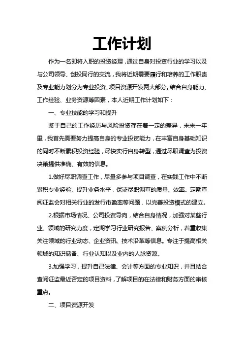 VC投资经理工作计划