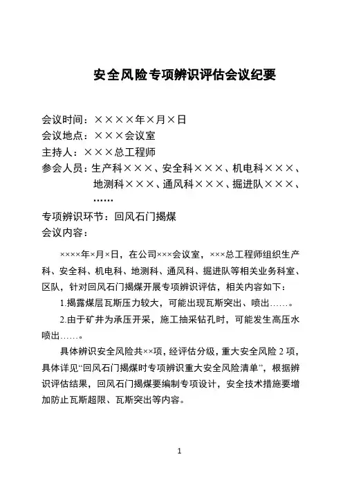 安全风险专项辨识评估会议纪要.doc
