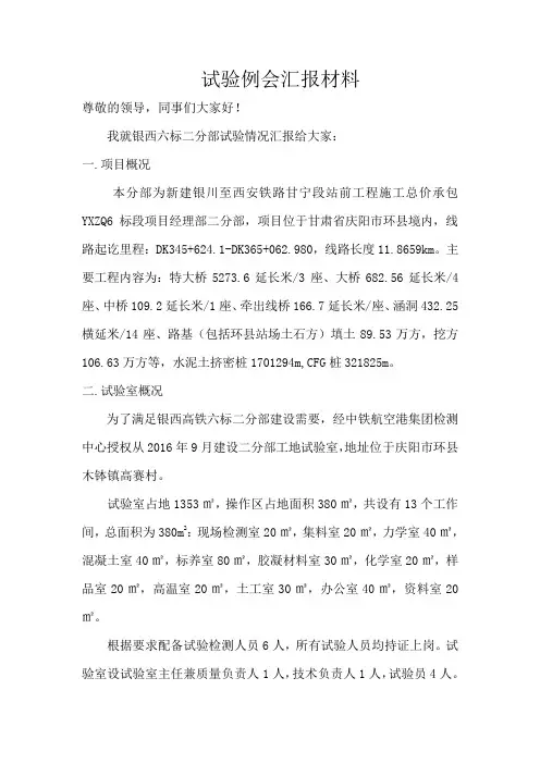 试验例会汇报材料
