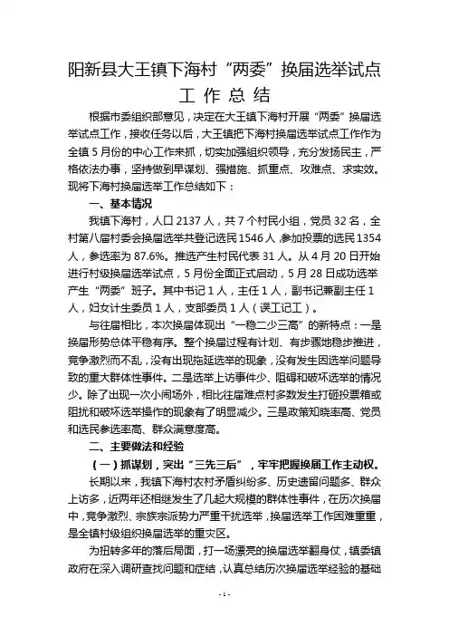 大王镇下海村换届选举试点总结