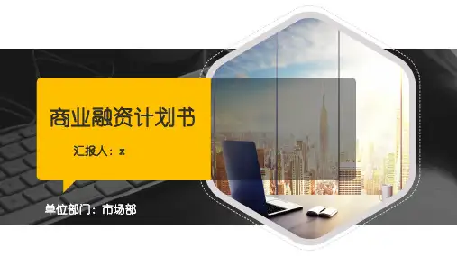 商业融资计划书模板(ppt共31张)