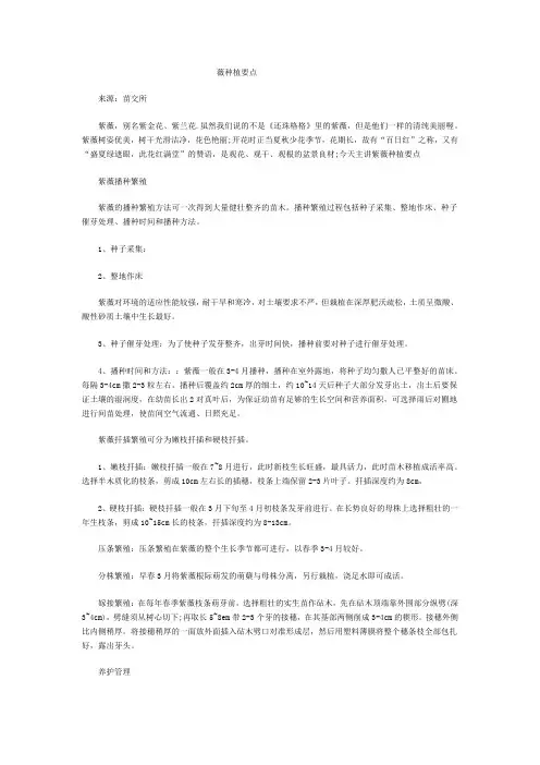 紫薇种植要点