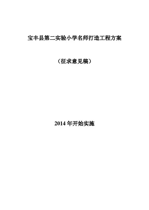 宝丰县第二实验小学名师打造工程方案