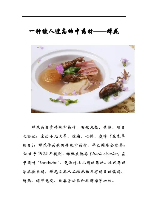 一种被人遗忘的中药材—蝉花