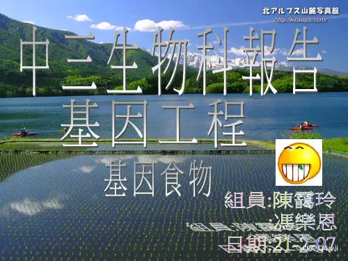 基因改造农作物食物例子