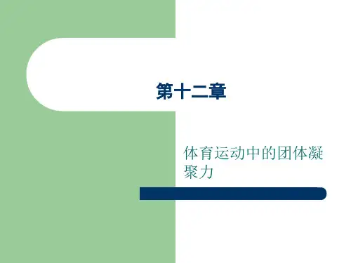 体育心理学---第十二章体育运动中的团体凝聚力