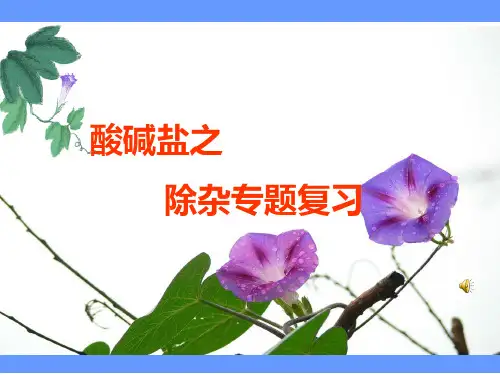 中考化学复习课件：酸碱盐之除杂专题复习(共17张PPT)
