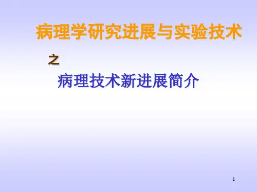 病理学研究进展与实验技术