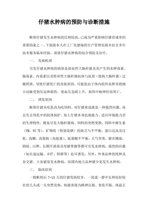 仔猪水肿病预防与诊断措施