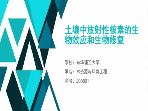 土壤中放射性核素的生物效应和生物修复22页PPT