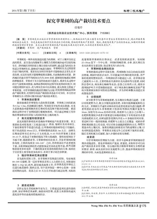 探究苹果树的高产栽培技术要点