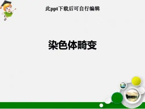 染色体畸变ppt课件