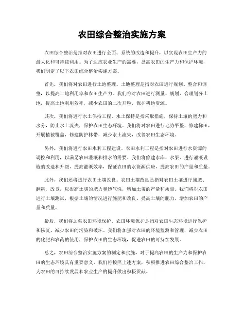 农田综合整治实施方案
