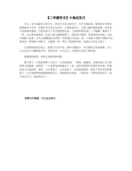 【二年级作文】小兔过生日