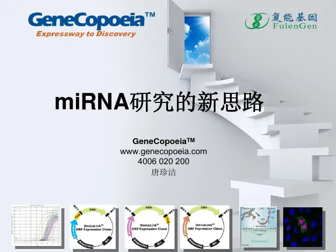 miRNA研究的新思路