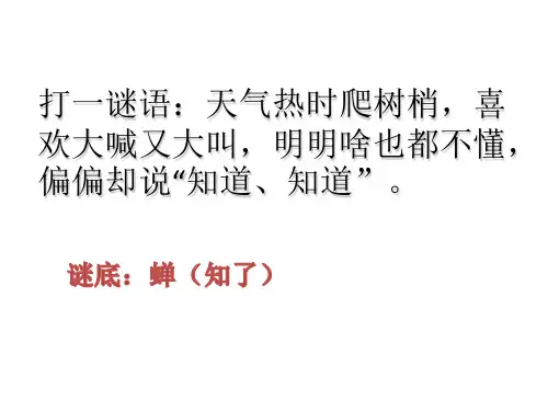 语文人教版(部编)八年级上册《19蝉》课件公开课(12)