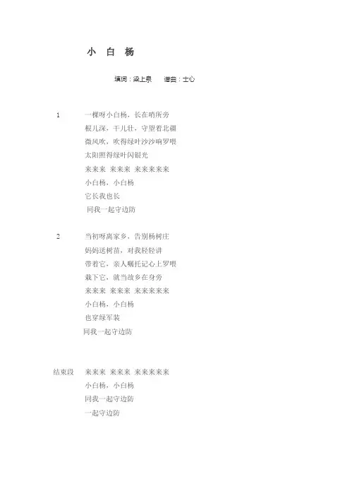 《小白杨》 歌词