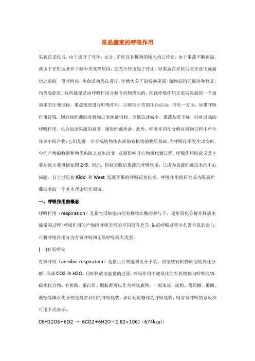 果蔬的呼吸作用