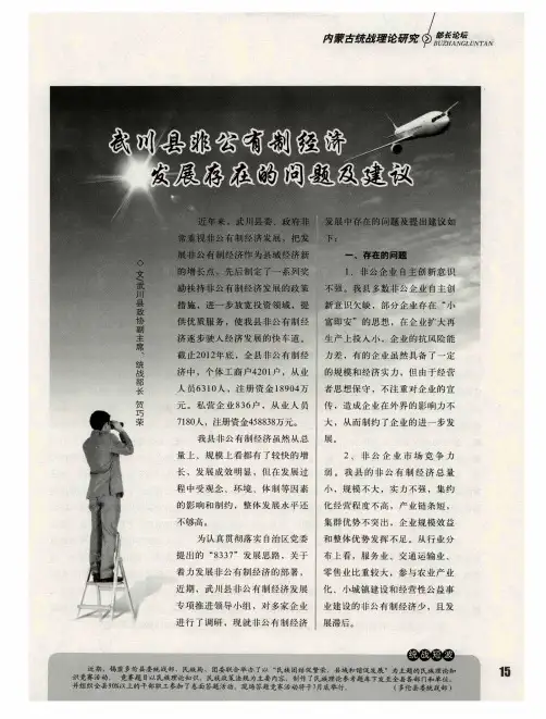 武川县非公有制经济发展存在的问题及建议