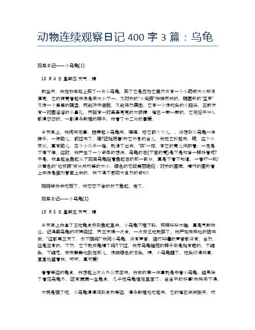 动物连续观察日记400字3篇：乌龟