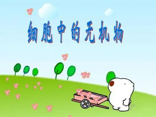 高中生物必修1细胞中的无机物PPT
