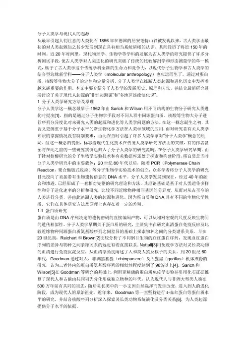 人类起源