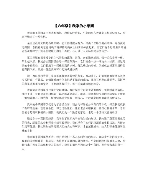 【六年级】我家的小菜园