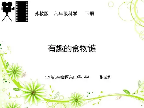 六年级下 -4.3 有趣的食物链｜苏教版实用PPT