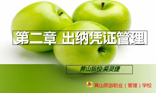 第二章 出纳凭证管理