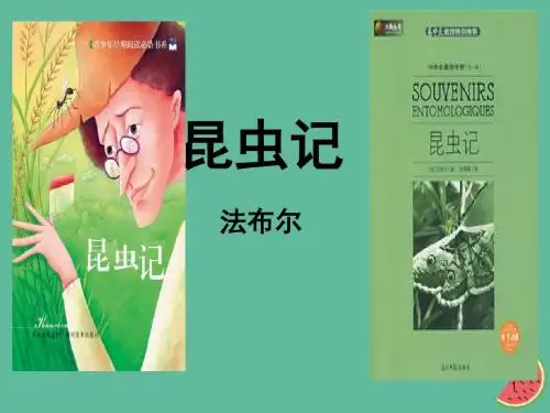 (新编)八年级语文上册第五单元昆虫记讲义新人教版