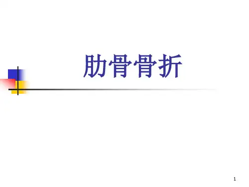 肋骨骨折PPT课件