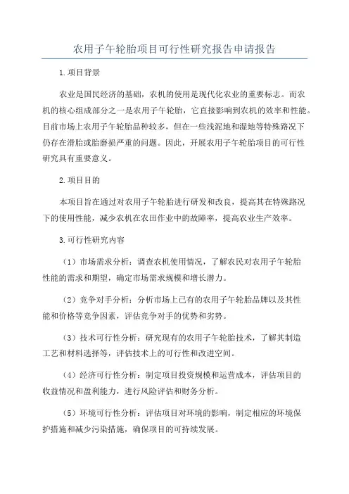 农用子午轮胎项目可行性研究报告申请报告