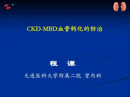 CKD骨矿物质-血管综合征的防治