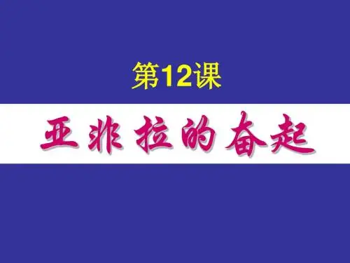 亚非拉的奋起PPT课件