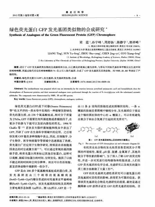 绿色荧光蛋白GFP发光基团类似物的合成研究