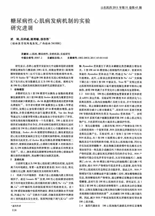 糖尿病性心肌病发病机制的实验研究进展
