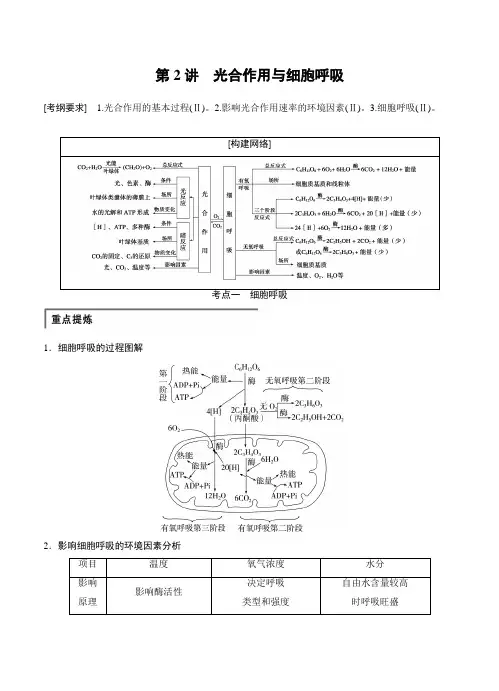 高考生物二轮讲义专题22光合作用与细胞呼吸