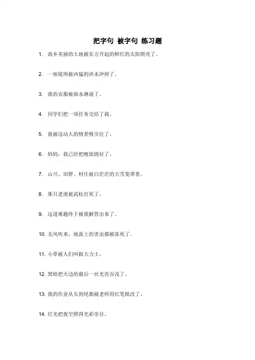 把字句 被字句 练习题