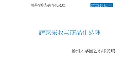 蔬菜采收与商品化处理