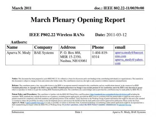 22-11-0039-00-0000-802-22-march-plenary-opening-report