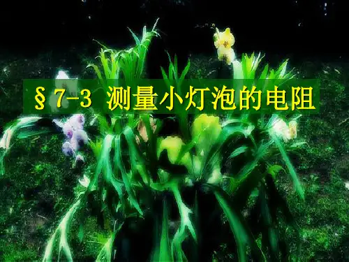7-3 测量小灯泡的电阻.