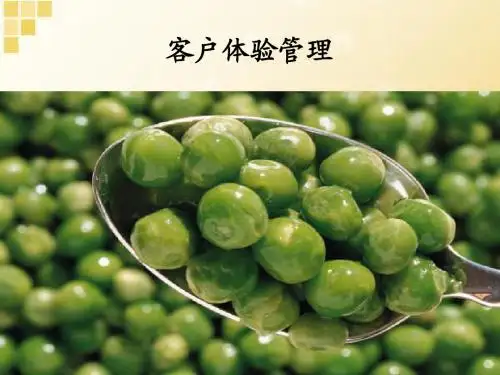 客户体验管理