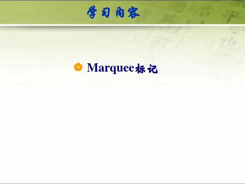 marquee标记 marquee
