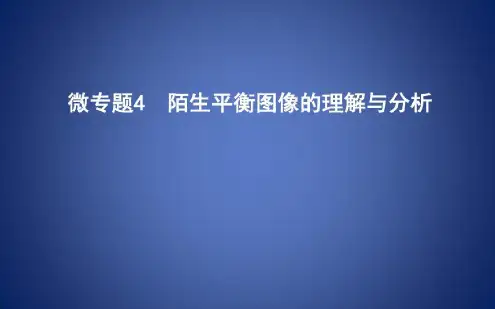 高考化学二轮复习微专题4陌生平衡图像的理解与分析课件