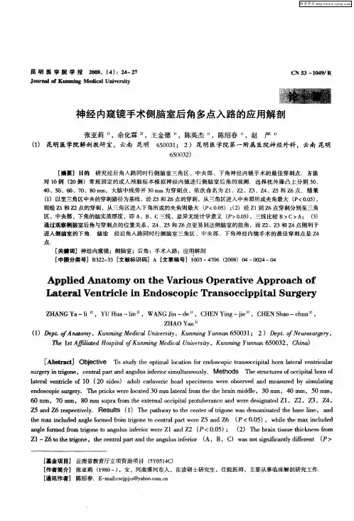 神经内窥镜手术侧脑室后角多点入路的应用解剖