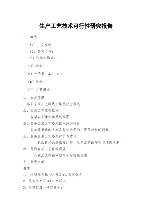生产工艺技术可行性研究报告