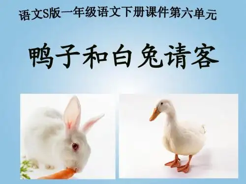 《鸭子和白兔请客》课件之二