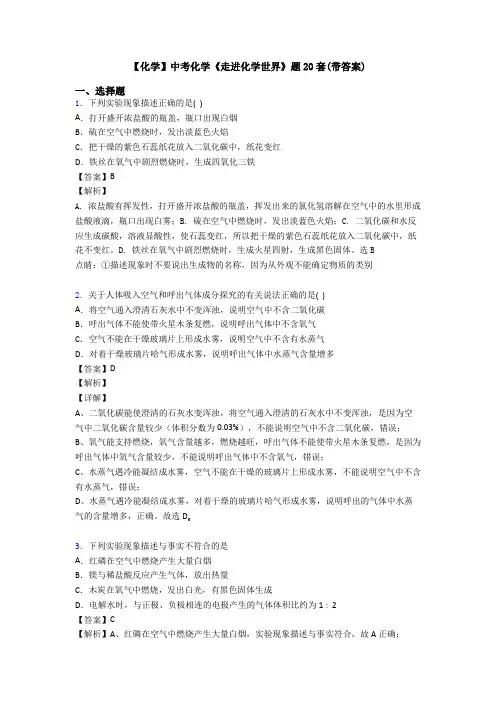 【化学】中考化学《走进化学世界》题20套(带答案)