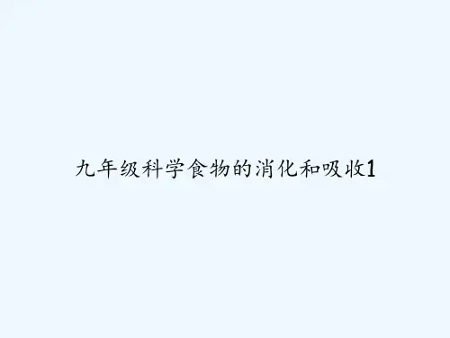 九年级科学食物的消化和吸收1 PPT