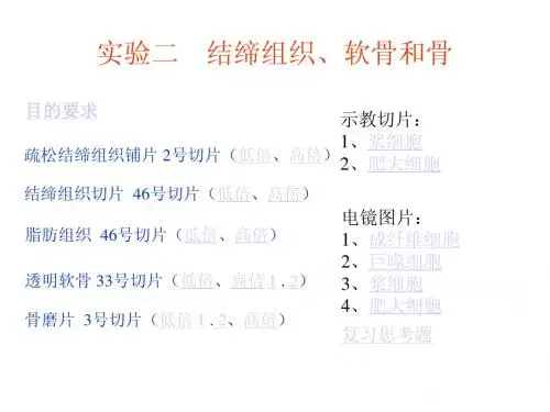实验 2  结缔组织、软骨和骨